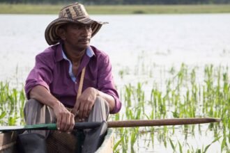 “Sucre, un tesoro de imaginarios e identidad” es el ciclo de películas que será presentado los miércoles de abril, con entrada gratuita.