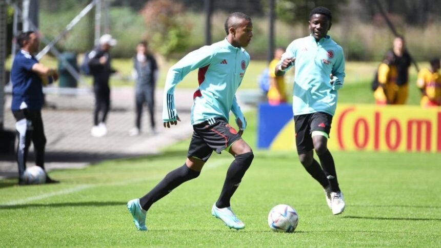 El extremo de 15 años nacido en el corregimiento de Ararca, recientemente fue inscrito por Junior de Barranquilla para la Copa Libertadores.
